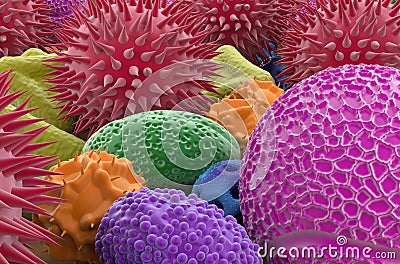 Multiple types of pollen grains - closeup view 3d illustration Stock Photo