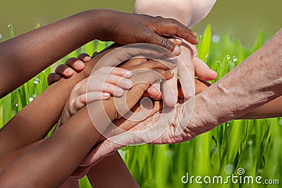 Multiracial hands on grass background Stock Photo