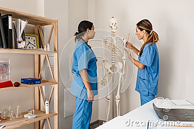 Multiracial women doctors talking while examining skeleton in office Stock Photo