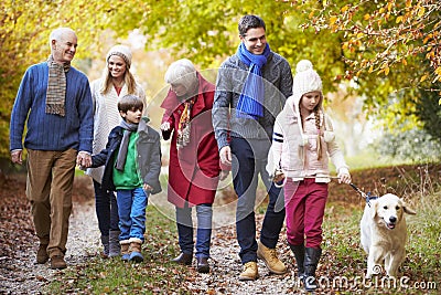 Multl Generation Family Walking Along Autumn Path With Dog Stock Photo