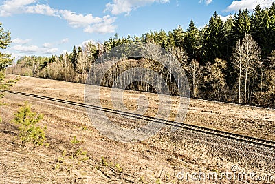 Multy-track railway in the forest turns the corner. Spring landscape with dry grass and a coniferous forest Stock Photo