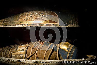 Mummy Editorial Stock Photo