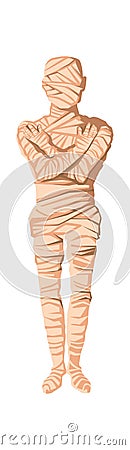 Mummy creation stage cartoon illustration Vector Illustration