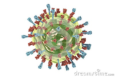 Mumps virus structure Cartoon Illustration