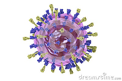 Mumps virus structure Cartoon Illustration