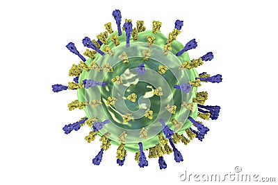 Mumps virus structure Cartoon Illustration