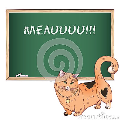 Munchkin cat near a chalkboard Vector Illustration