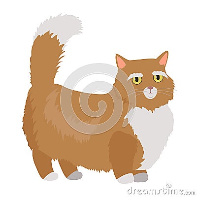 Munchkin cat Vector Flat Design Illustration Vector Illustration