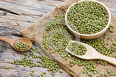 Mung bean Stock Photo