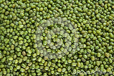 Mung Beans Stock Photo