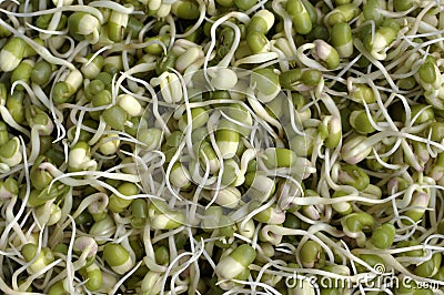 Mung beans Stock Photo