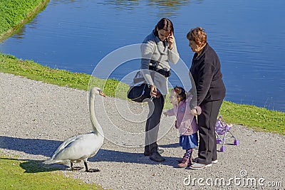 Munich, Germany - 10 17 2012: Girl teases a swan in the park. Editorial Stock Photo