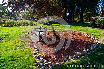 Wide angle shot, chair whit tee in Rose Gardens Stock Photo
