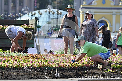 Municipal women workers taking care of flowers on a flowerbed Editorial Stock Photo