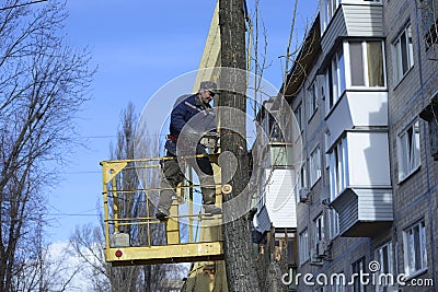 Municipal worker cutting dead standing tree with chainsaw using truck-mounted lift Editorial Stock Photo