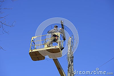 Municipal worker cutting dead standing tree with chainsaw using truck-mounted lift Editorial Stock Photo