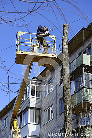 Municipal worker cutting dead standing tree with chainsaw using truck-mounted lift Editorial Stock Photo