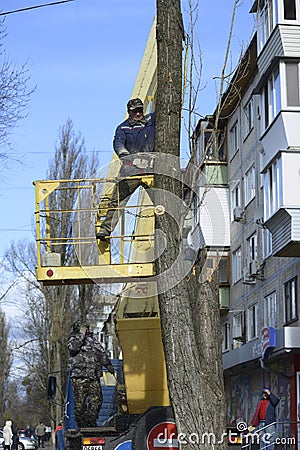 Municipal worker cutting dead standing tree with chainsaw using truck-mounted lift Editorial Stock Photo