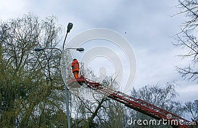 A municipal worker in protective gear replacing bulbs in a street lamp. Editorial Stock Photo