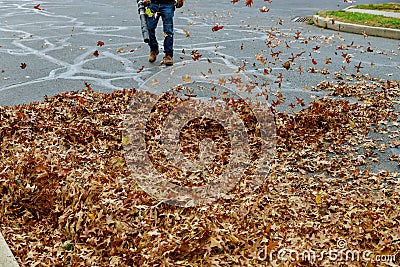 An autumn municipality worker cleans a sidewalk by putting leaves on a pile and blowing them away Stock Photo