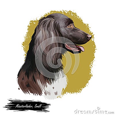 Munsterlander small, German dog digital art illustration. Hunting pointing and retrieving type of purebred animals Cartoon Illustration