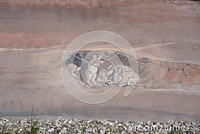 Mural graffiti of the base of a high-rise building in Langen, Hesse with painted brown earth layers and an underground rabbit hole Editorial Stock Photo