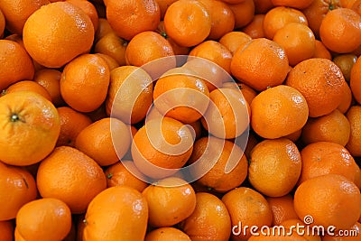 Murcott tangerine, Citrus reticulata Stock Photo