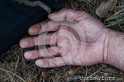 Murder in the woods. The hand of a dead man in the forest needles. Violent attack. Victim of crime Stock Photo