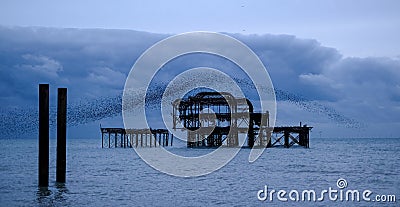 Murmuration of starlings over the remains of West Pier, Brighton UK. Photographed at dusk. Stock Photo