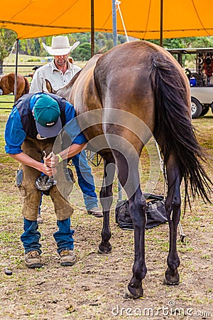 Murrurundi, NSW, Australia, 2018, February 24: Competitor in the King of the Ranges Horse Shoeing Competition Editorial Stock Photo