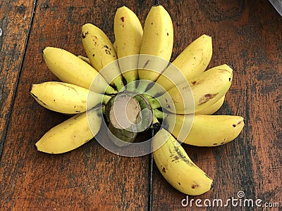 Musa sapientum or Plantain banana. Stock Photo