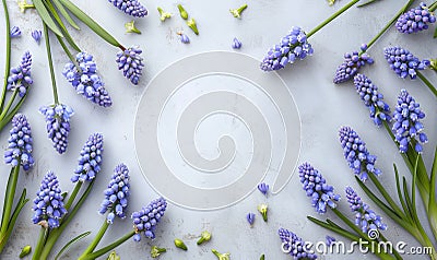 Muscari flowers frame on light background with copyspace for your text Stock Photo