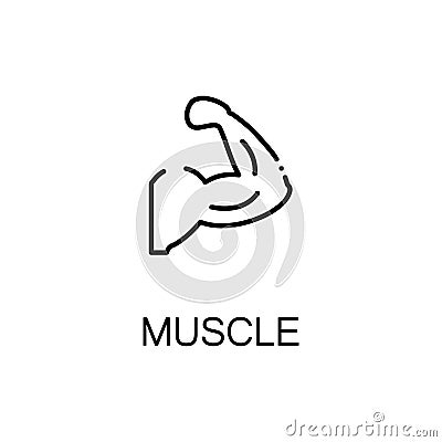 Muscle flat icon Vector Illustration