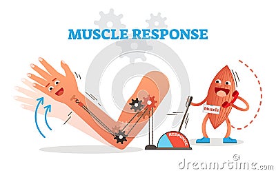 Muscle response conceptual vector illustration scheme with cartoon muscle character receiving nerve impulse and moving hand. Vector Illustration