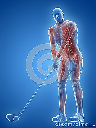 The muscles of a golf player Cartoon Illustration