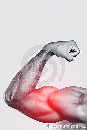Muscular arm and specialization for biceps training. Stock Photo