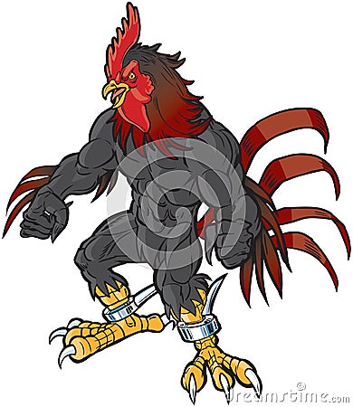 Muscular Cartoon Rooster Mascot with Realistic Head Vector Illustration