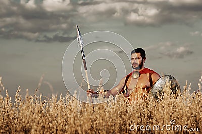 Muscular medieval warrior standing in the field Stock Photo