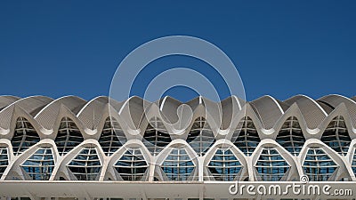 Museu de les CiÃ¨ncies PrÃ­ncipe Felipe of Calatrava in Valencia Editorial Stock Photo