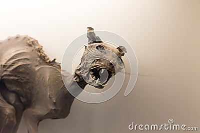 Museum exhibit of prehistoric cat Editorial Stock Photo