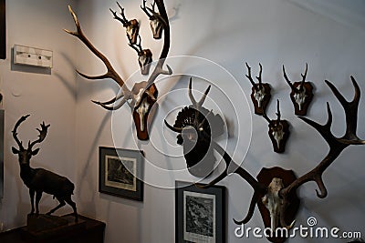 Museum of Hunting and Horsemanship at Royal Lazienki Museum in Warsaw, Poland Editorial Stock Photo