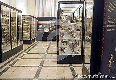 Museum of Zoology in Rome, Italy Editorial Stock Photo