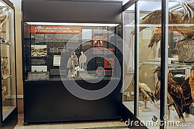 Museum of Zoology in Rome, Italy Editorial Stock Photo