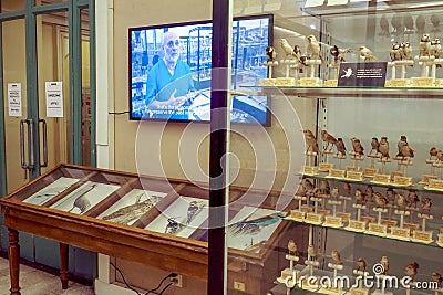 Museum of Zoology in Rome, Italy Editorial Stock Photo