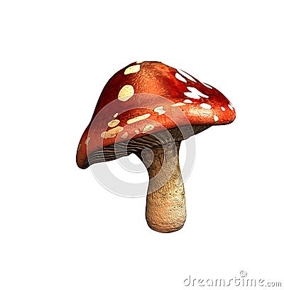 Mushroom Stock Photo