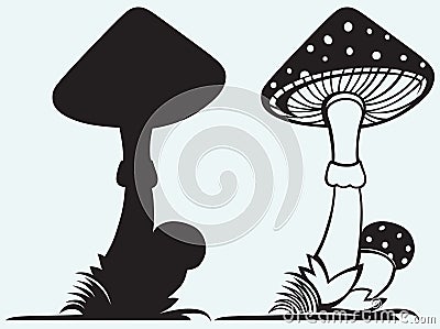 Mushroom Amanita with grass Vector Illustration