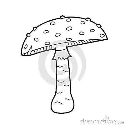 Mushroom - Amanita. Vector black white outline illustration. Design elements or page of children's coloring book Vector Illustration