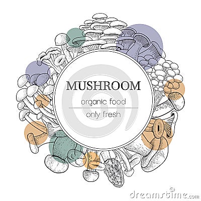 Mushroom background. Vintage botanical food with engraved shiitake, sketch agaric, forest oyster and porcini. Circle Vector Illustration