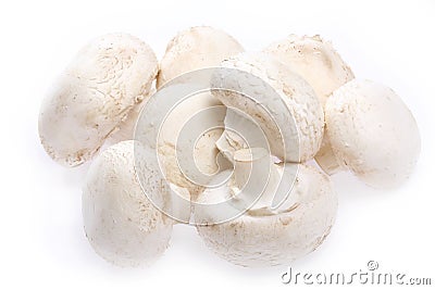 Mushroom champignon Stock Photo