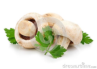 Mushroom champignon fruits with parsley leaves Stock Photo